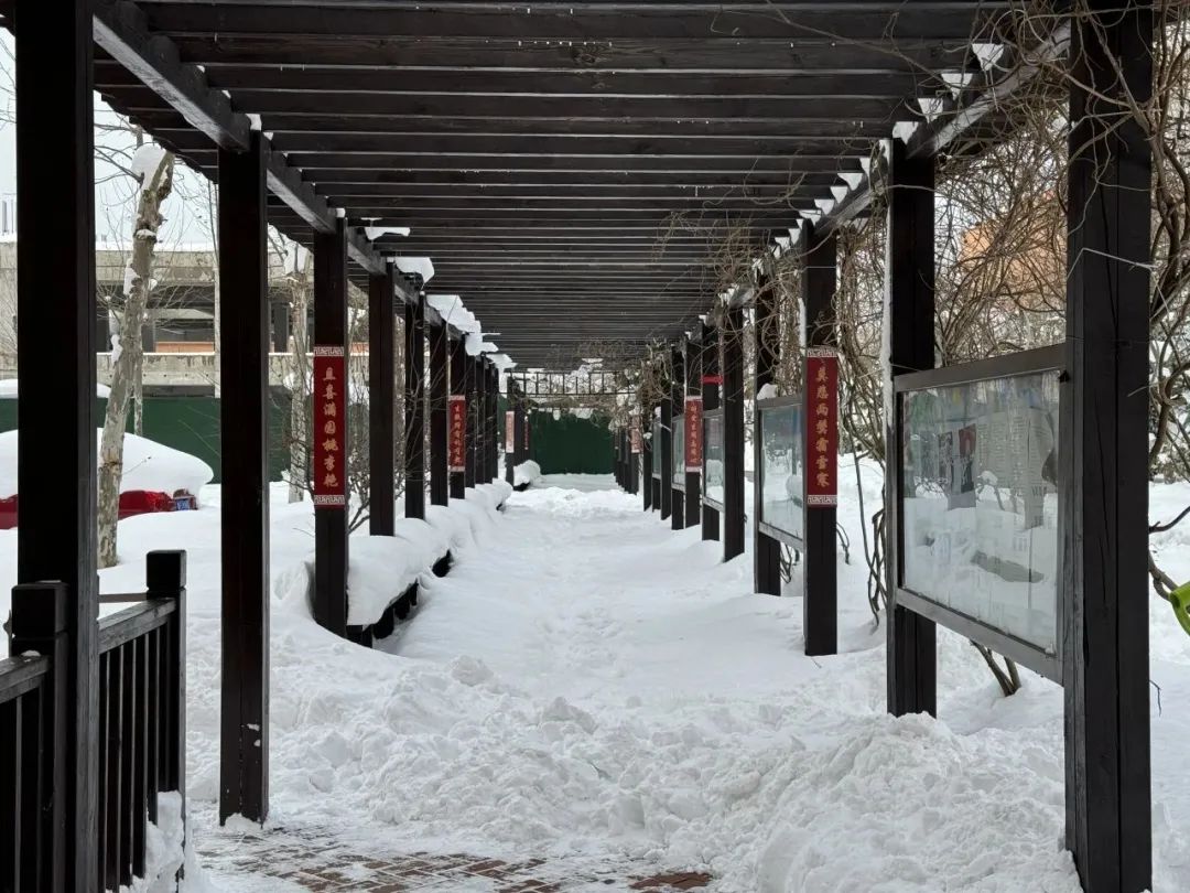 瑞雪满校园 清雪暖人心